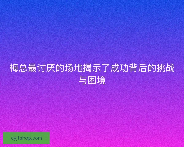 梅总最讨厌的场地揭示了成功背后的挑战与困境