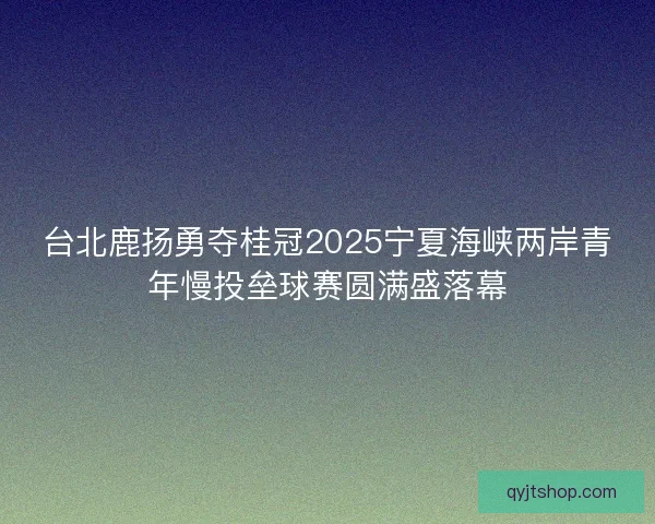 台北鹿扬勇夺桂冠2025宁夏海峡两岸青年慢投垒球赛圆满盛落幕