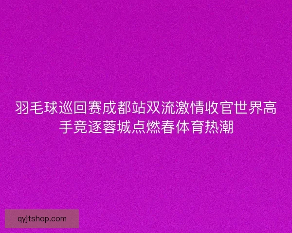 羽毛球巡回赛成都站双流激情收官世界高手竞逐蓉城点燃春体育热潮